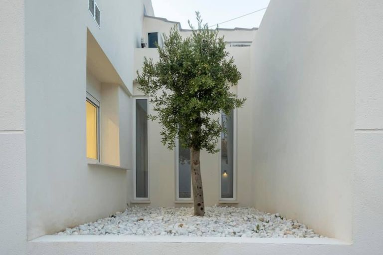 Zona verde entre muros de casa para crear un espacio acogedor